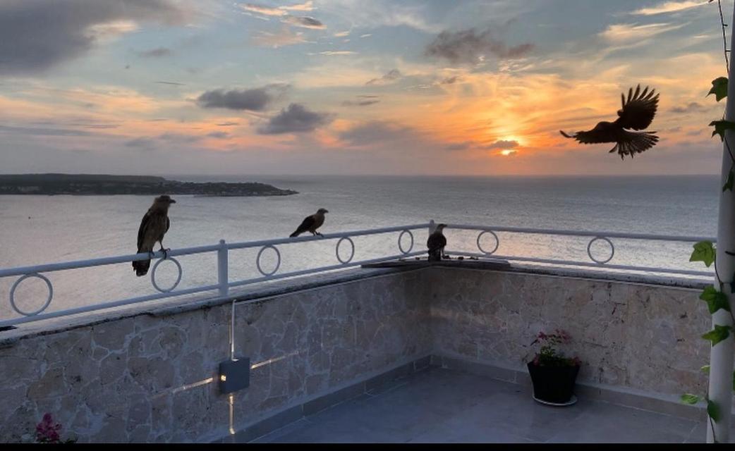 Penthouse 360 Cartagena Apartment Exterior foto